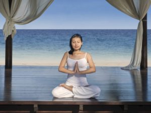 centre leela - profil ayurvedique - test doshas 3