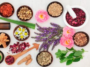 centre leela_formation ayurveda_soins ayurvédiques